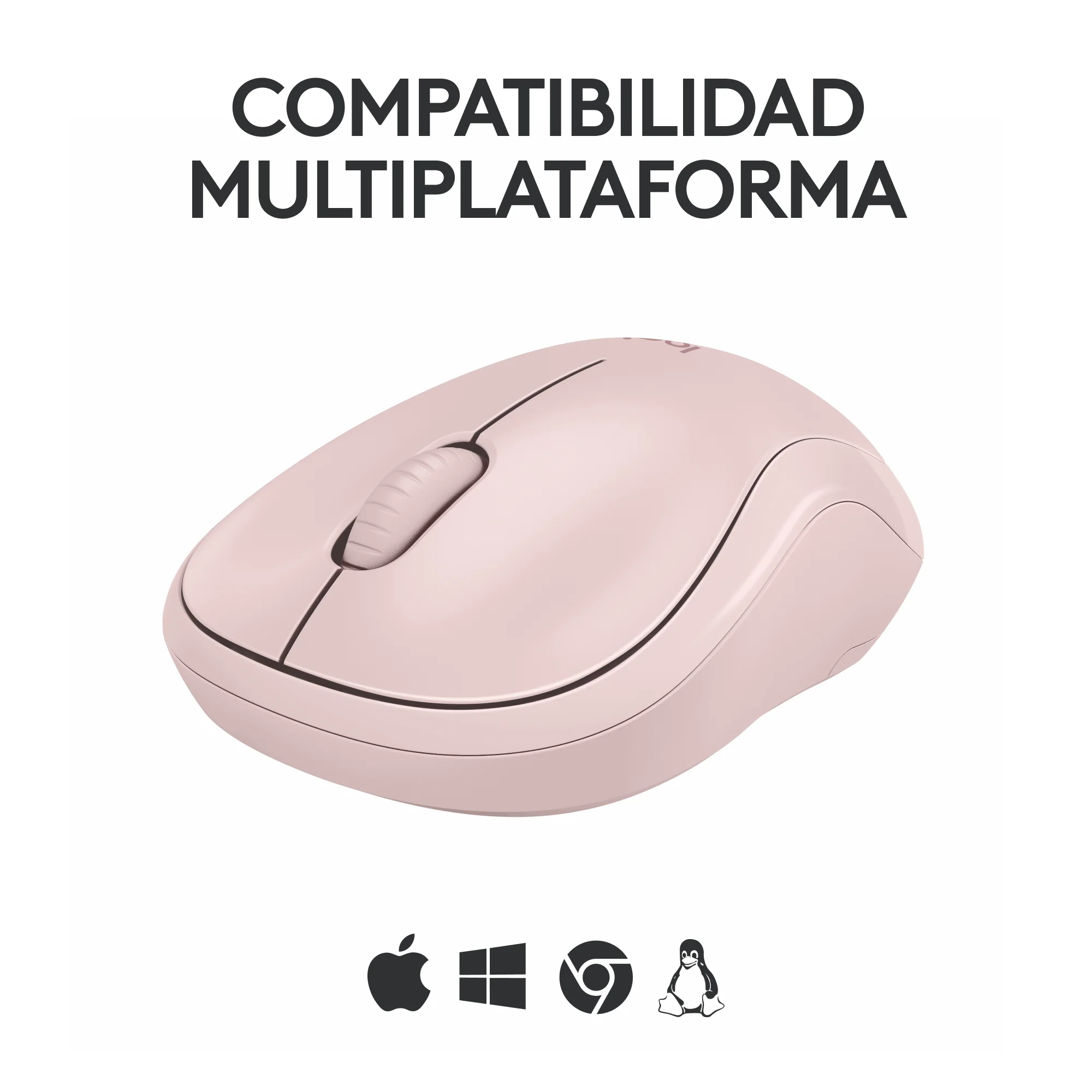 Imagen del producto 10